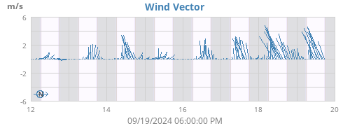 Wind Vector